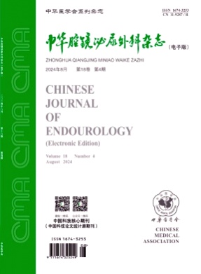 中华腔镜泌尿外科杂志(电子版)杂志